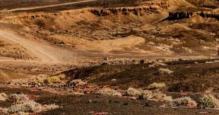 凯尔特人本赛季对50%胜率球队拿到7胜，全联盟仅次于活塞