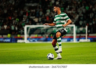 2025 赛季：大联盟官方在 12 月底确认 2025 年常规赛中，左投手的胜率创历史新高